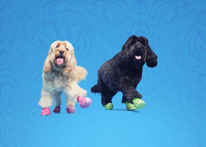 Crocs x Bark Is Back