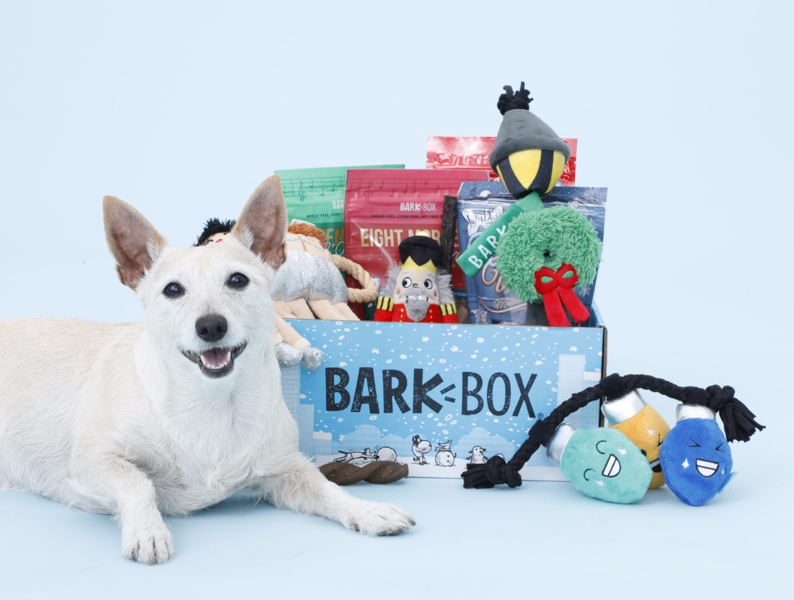 Free Toys for a Year