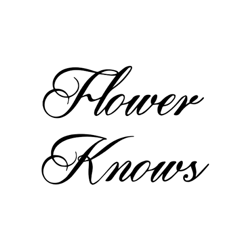 Save 25% Off On Your All Orders