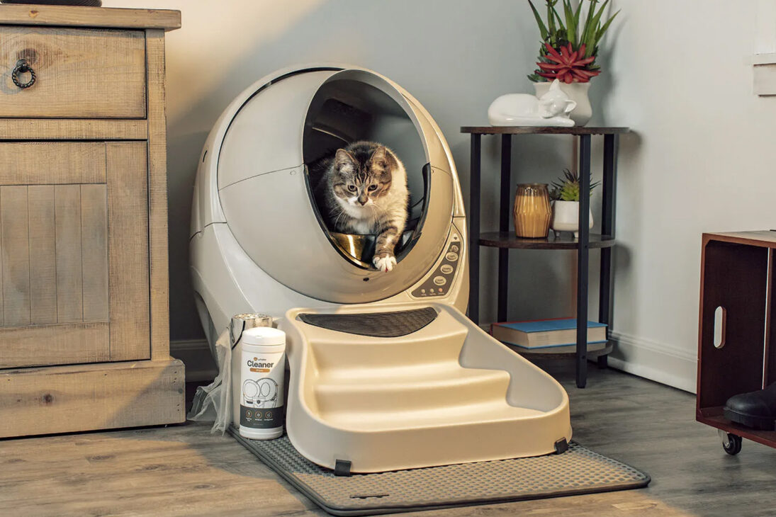 Litter-Robot Featured Image