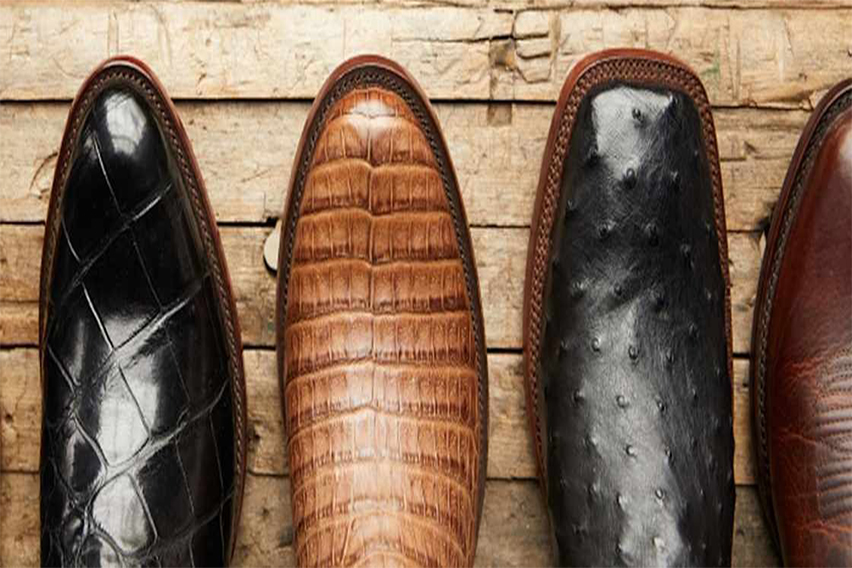 Ariat Review: Where Western Tradition Meets Modern Performance