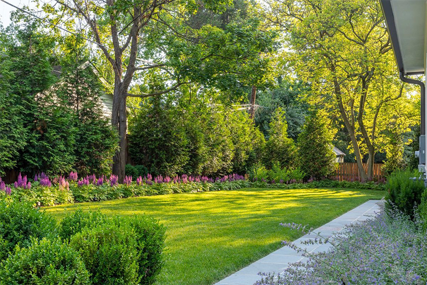 Fast Growing Trees Review: Your Path to a Greener, More Lush Landscape