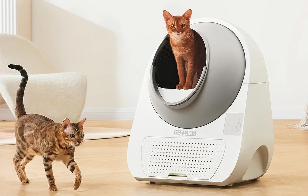 CATLINK Review